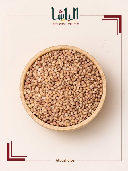 محلب تركي اكسترا