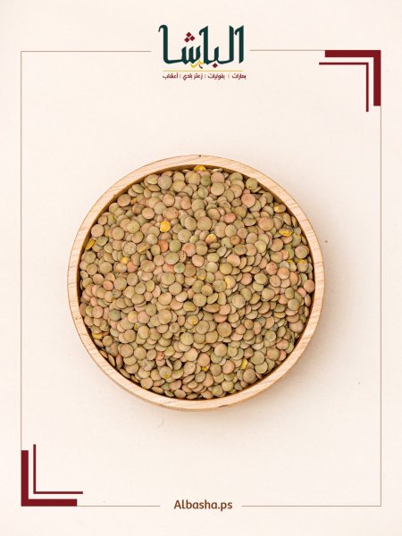 عدس حب كبير