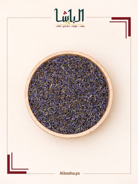 خزامى ( لافندر )