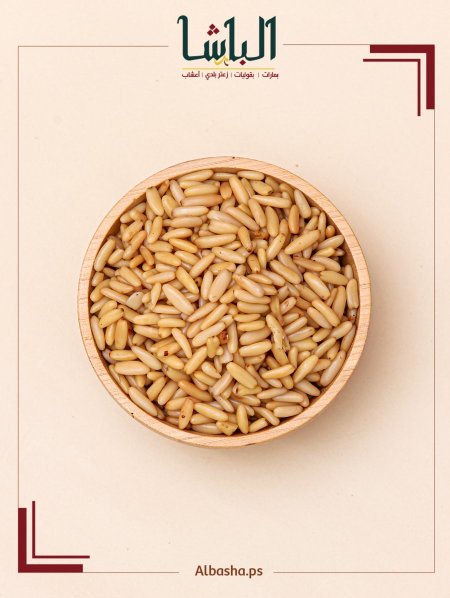 صنوبر باكستاني طويل