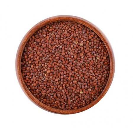 بذور الفجل