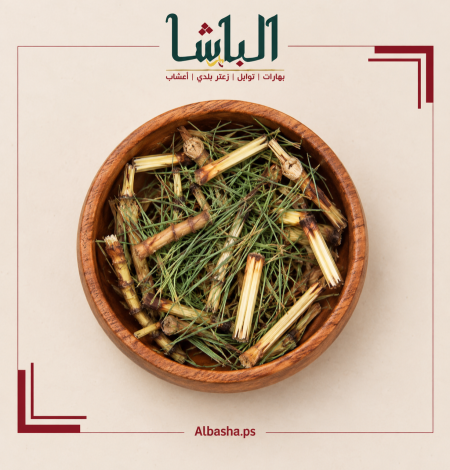 عشبة ذنب الخيل