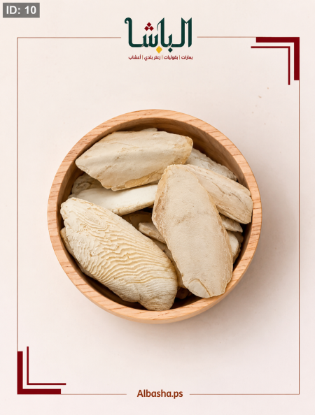 زبد البحر