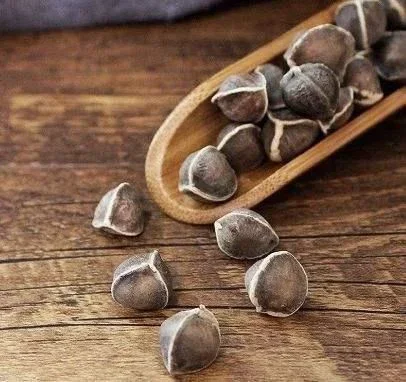 بذور مورينجا